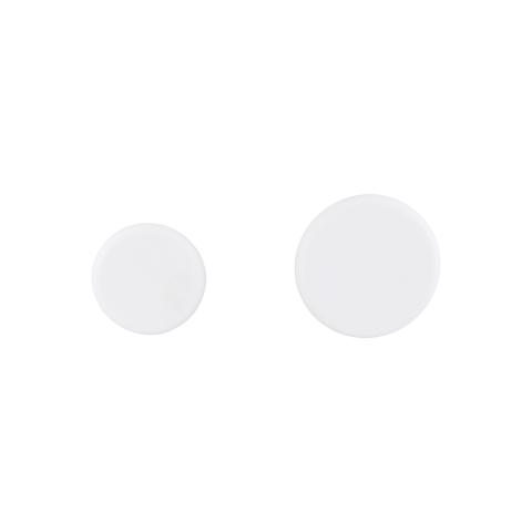Asham Slider Discs
